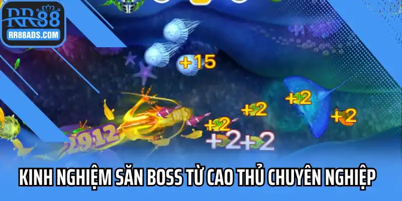 Kinh nghiệm săn boss từ cao thủ chuyên nghiệp